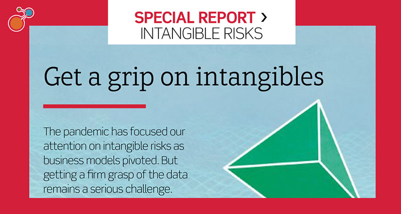Special Report-Intangible Risks