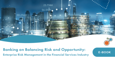 Banking on Balancing Risk and Opportunity: ERM in the FS