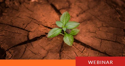 Resilience as an Enabler: Embedding Continuity to Facilitate Growth