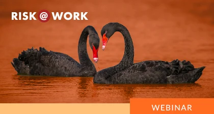 Handling the Extremes The Role of Black Swans