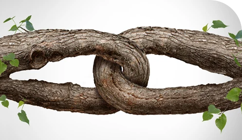 The Power of Integrating Risk and Resilience The Power of Integrating Risk and Resilience